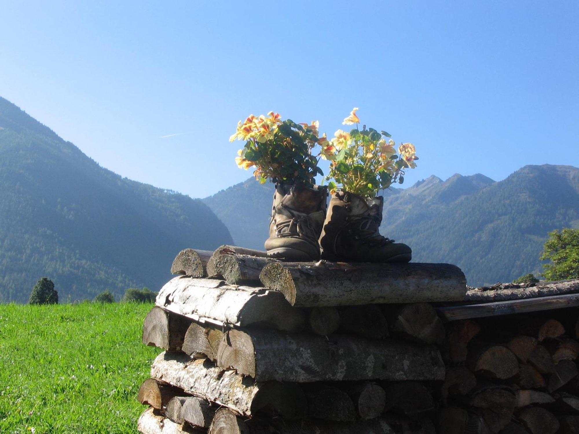 Landhaus Steiner Schladming Exteriér fotografie